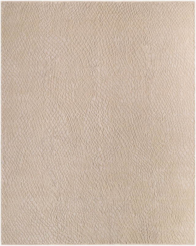 Surya Reyyan RHE-2302 8' x 10' Handmade Rug