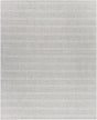 Surya Rio De Janeiro RJO-2301 2' x 3' Handmade Rug