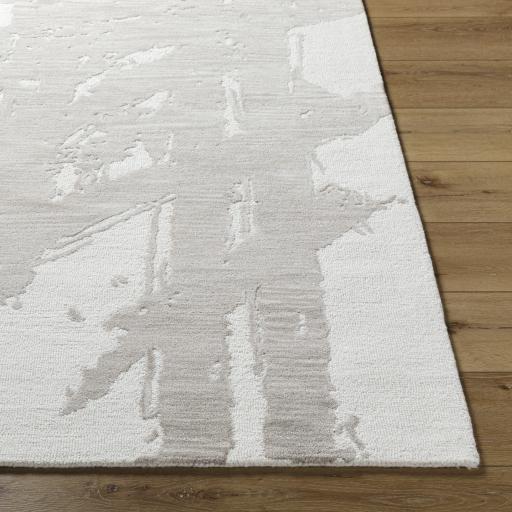 Surya Rize RZE-2302 2' x 3' Rug