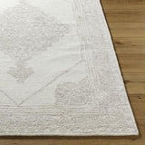 Surya Rize RZE-2304 2' x 3' Rug