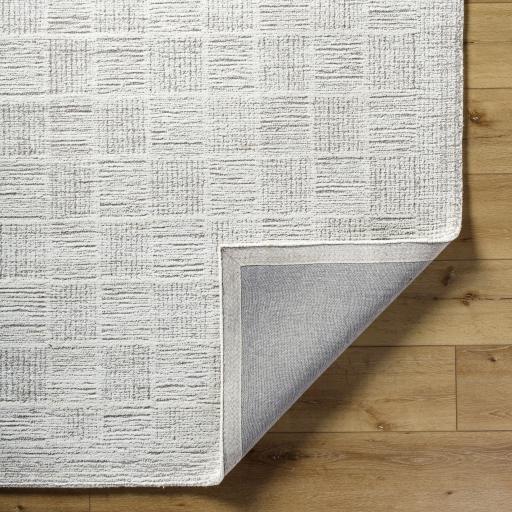 Surya Rize RZE-2311 2' x 3' Rug