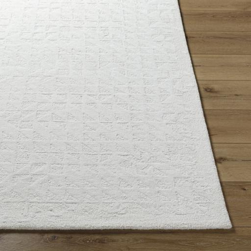 Surya Rize RZE-2310 6' x 9' Rug