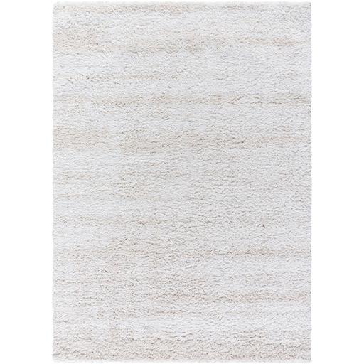 Surya Sacramento Shag SCS-2301 5'3" x 7' Rug