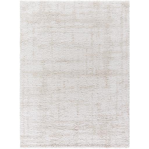 Surya Sacramento Shag SCS-2300 5'3" x 7' Rug