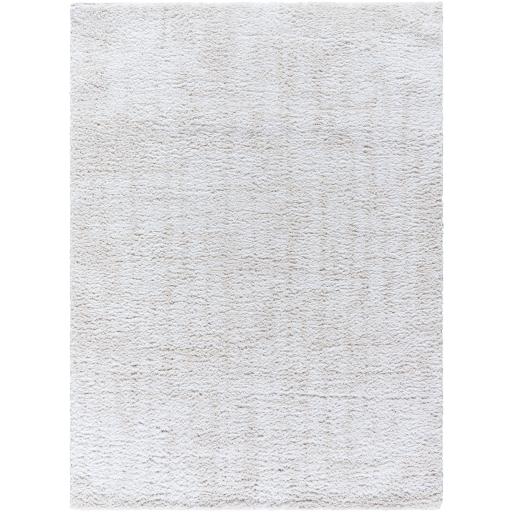 Surya Sacramento Shag SCS-2302 5'3" x 7' Rug