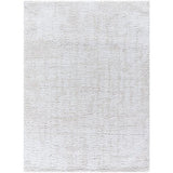 Surya Sacramento Shag SCS-2302 5'3" x 7' Rug