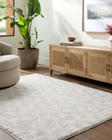 Livabliss Sacramento Shag SCS-2303 5'3" x 7' Machine Woven Rug