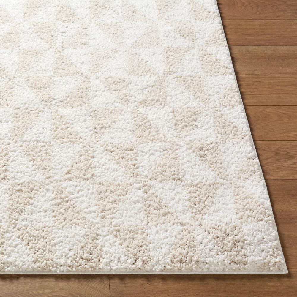 Livabliss Sacramento Shag SCS-2303 5'3" x 7' Machine Woven Rug