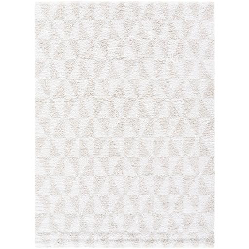Surya Sacramento Shag SCS-2303 5'3" x 7' Rug
