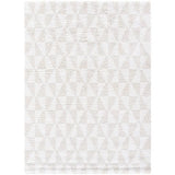 Surya Sacramento Shag SCS-2303 5'3" x 7' Rug