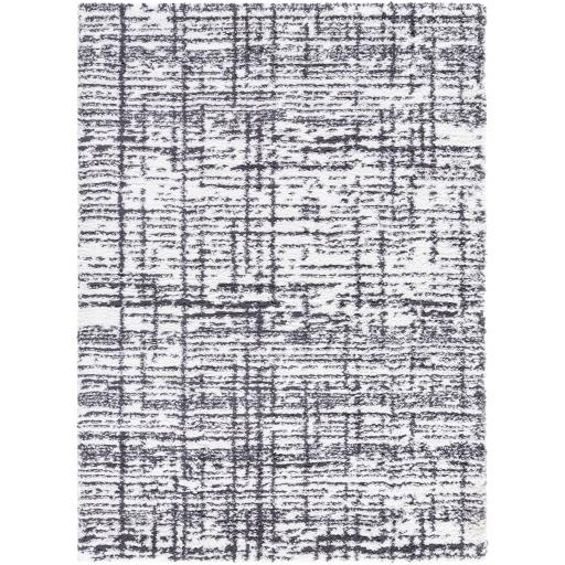 Surya Sacramento Shag SCS-2304 7'10" x 10' Rug