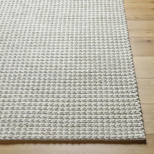 Surya Sundance SDC-2304 9' x 12' Rug