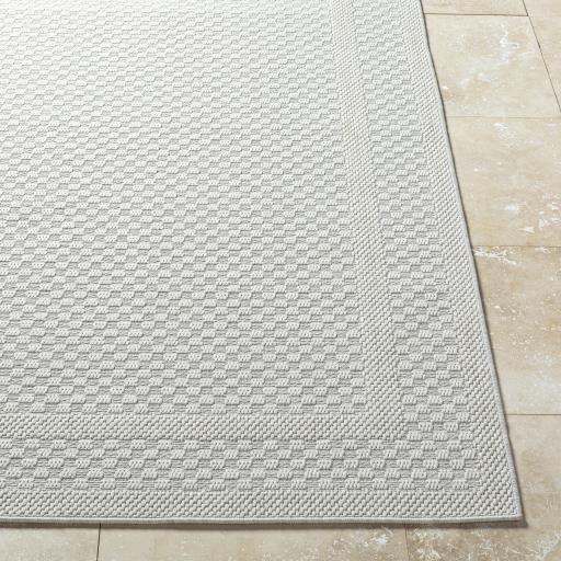 Surya Sandra SDR-2302 6'7" x 9' Rug