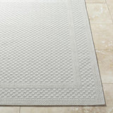Surya Sandra SDR-2302 7'10" x 10' Rug