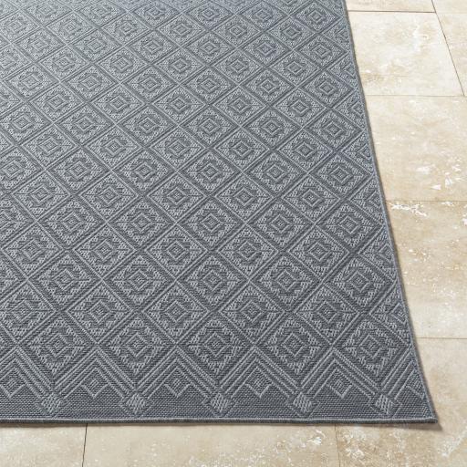 Surya Sandra SDR-2318 6'7" x 9' Rug