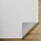 Surya Taraash TRH-2309 2' x 3' Rug