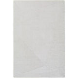 Surya Taraash TRH-2308 2' x 3' Rug