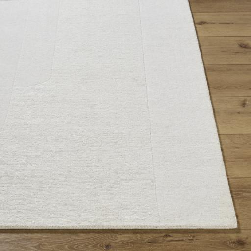 Surya Taraash TRH-2309 9' x 12' Rug