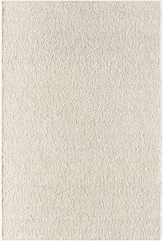 Surya Timbuktu TTU-2303 2' x 3' Handmade Rug