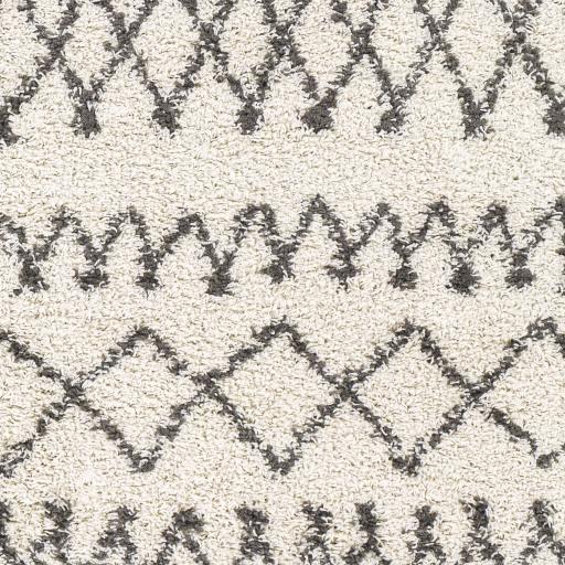 Surya Taza Shag TZS-2316 5'2" x 7' Rug