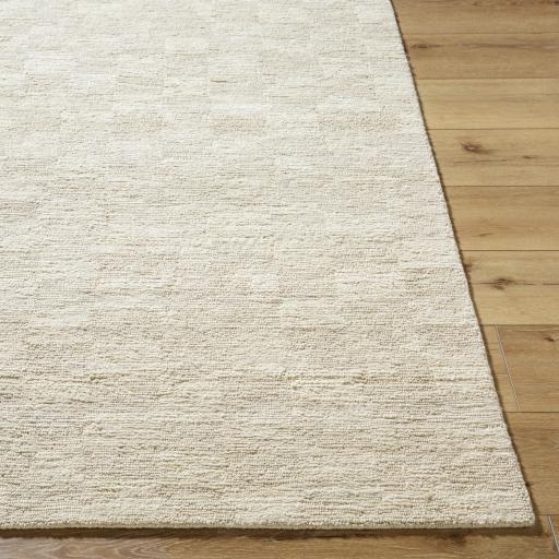 Surya Ventura VNR-2301 6' x 9' Rug