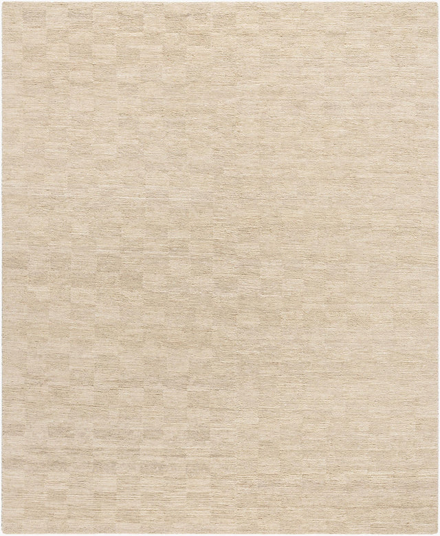 Surya Ventura VNR-2301 2' x 3' Handmade Rug