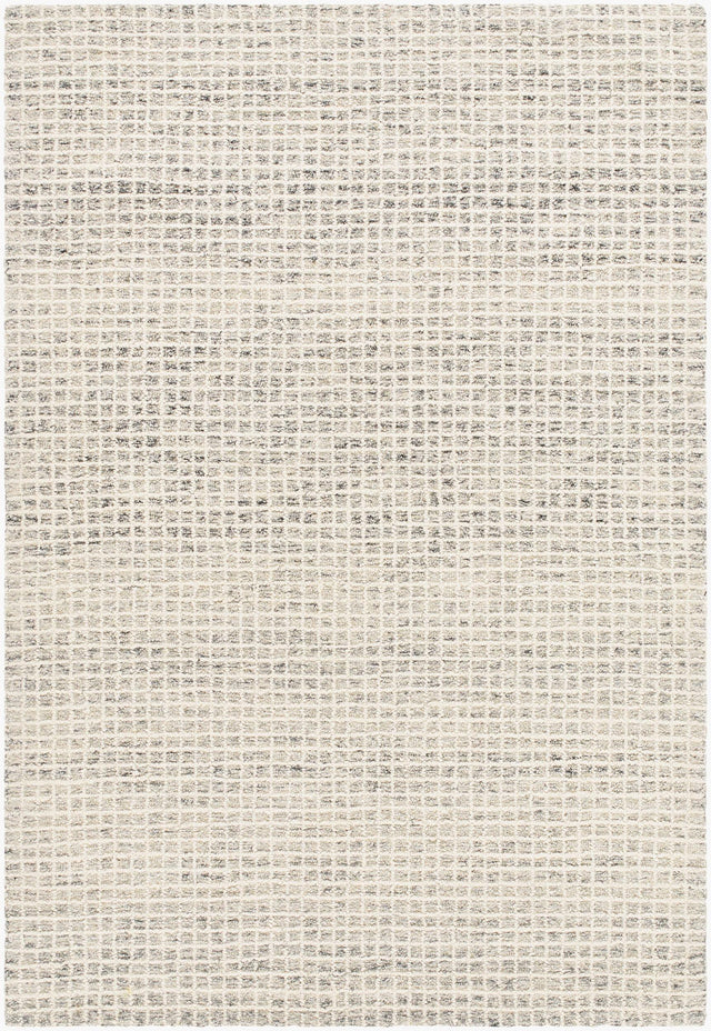 Livabliss Andreas VVAN-2300 9' x 12' Handmade Rug