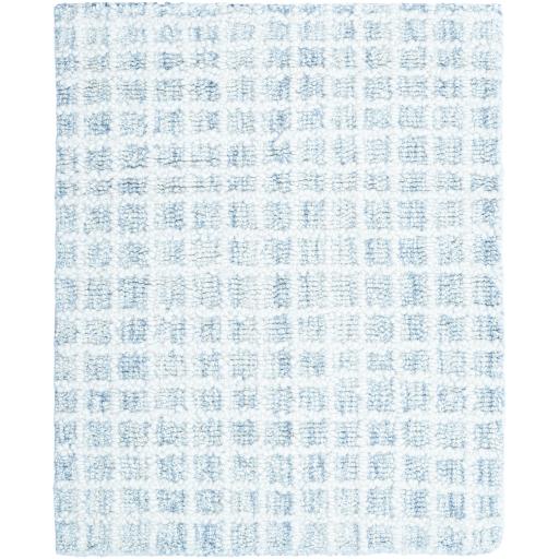 Surya Andreas VVAN-2301 8' x 10' Rug