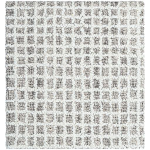 Surya Andreas VVAN-2302 2' x 3' Rug