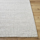 Surya Andreas VVAN-2302 2' x 3' Rug