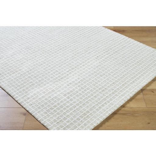 Surya Andreas VVAN-2303 4' x 6' Rug