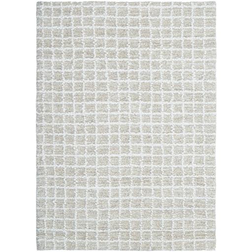 Surya Andreas VVAN-2303 2' x 3' Rug