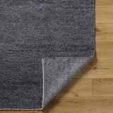 Surya Wabi Sabi WSB-2302 2' x 3' Rug