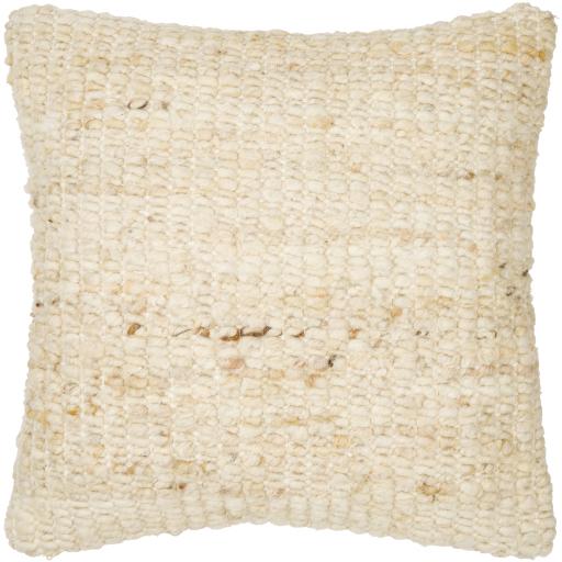 Surya Zayden ZYN-002 20"H x 20"W Pillow Cover