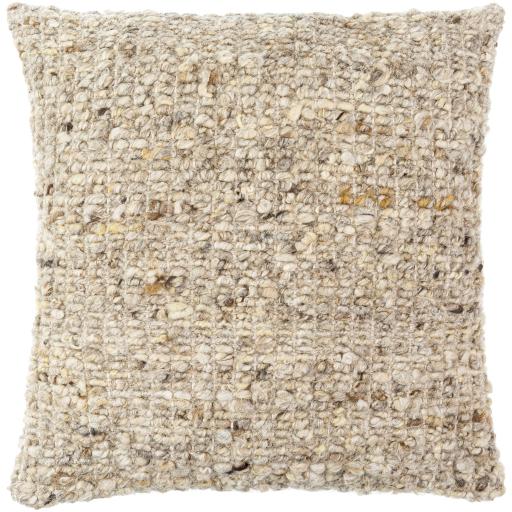 Surya Zayden ZYN-004 20"H x 20"W Pillow Cover
