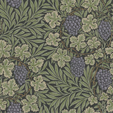 A-Street Prints Vine Green Woodland Fruits Wallpaper
