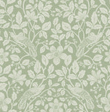 Brewster Home Fashions Marlow Green Bird Vine Wallpaper