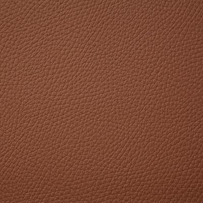 Pindler BANDERO SADDLE Fabric