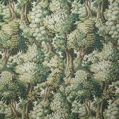 Pindler ABBIENTE EVERGREEN Fabric