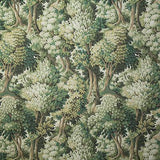 Pindler ABBIENTE EVERGREEN Fabric