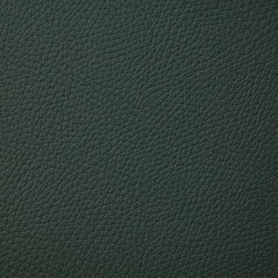 Pindler BANDERO IVY Fabric