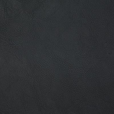 Pindler GITTY UP BLACK Fabric