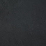 Pindler GITTY UP BLACK Fabric