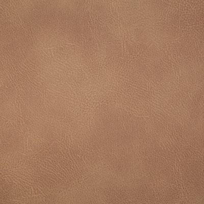 Pindler GITTY UP HONEY Fabric