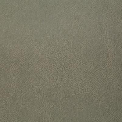 Pindler GITTY UP ALOE Fabric