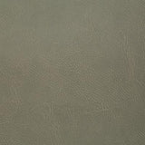 Pindler GITTY UP ALOE Fabric