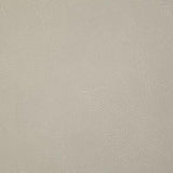 Pindler GITTY UP PEBBLE Fabric