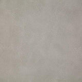 Pindler GITTY UP FOG Fabric