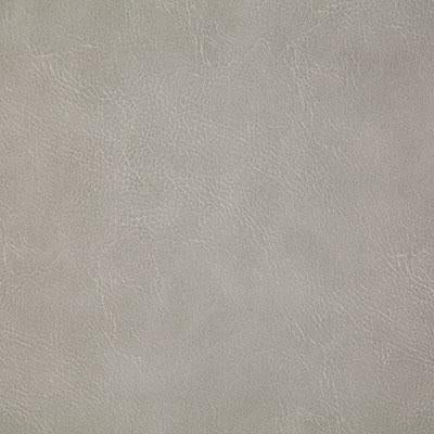 Pindler GITTY UP FOG Fabric