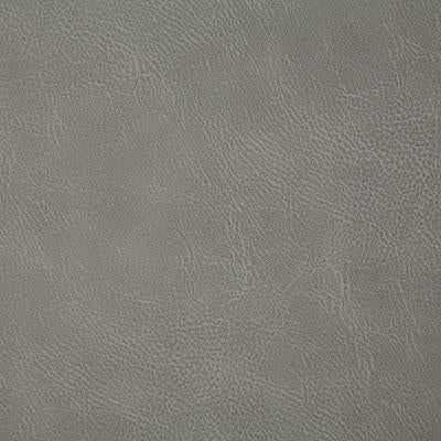 Pindler GITTY UP PEWTER Fabric